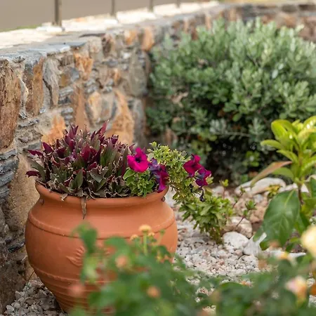 Pink Sand Villas Agios Pandeleimon  Exterior photo